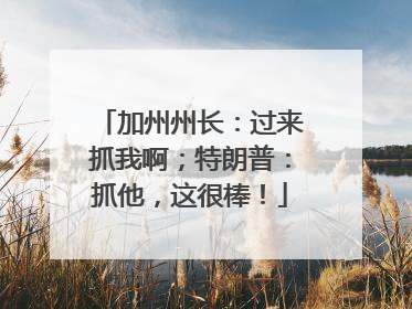 加州州长：过来抓我啊；特朗普：抓他，这很棒！
