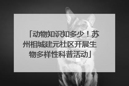 动物知识知多少！苏州相城建元社区开展生物多样性科普活动