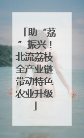 助“荔”振兴！北流荔枝全产业链带动特色农业升级