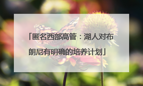 匿名西部高管：湖人对布朗尼有明确的培养计划
