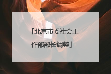 北京市委社会工作部部长调整