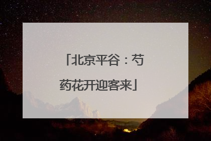 北京平谷：芍药花开迎客来