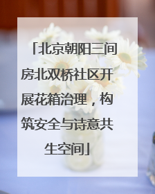 北京朝阳三间房北双桥社区开展花箱治理，构筑安全与诗意共生空间