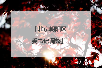 北京朝阳区委书记调整