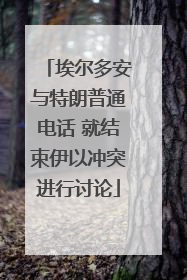 埃尔多安与特朗普通电话 就结束伊以冲突进行讨论