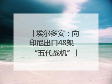 埃尔多安：向印尼出口48架“五代战机”