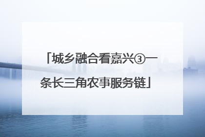 城乡融合看嘉兴③一条长三角农事服务链