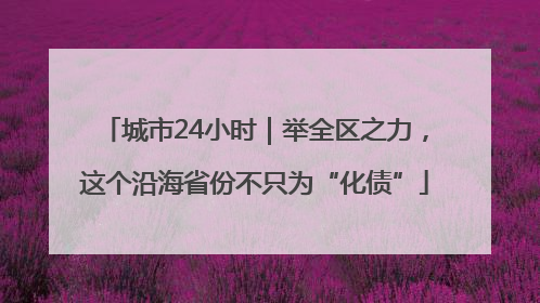城市24小时｜举全区之力，这个沿海省份不只为“化债”