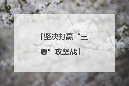 坚决打赢“三夏”攻坚战