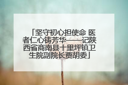 坚守初心担使命 医者仁心铸芳华——记陕西省商南县十里坪镇卫生院副院长贾胡委