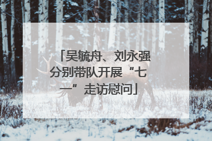 吴毓舟、刘永强分别带队开展“七一”走访慰问