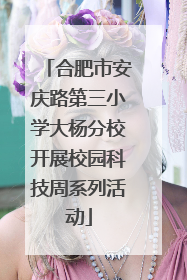 合肥市安庆路第三小学大杨分校开展校园科技周系列活动