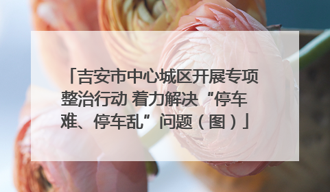 吉安市中心城区开展专项整治行动 着力解决“停车难、停车乱”问题（图）