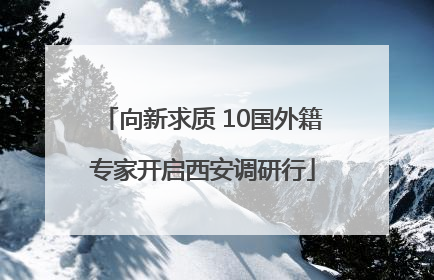 向新求质 10国外籍专家开启西安调研行