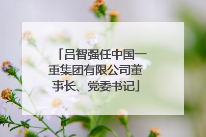 吕智强任中国一重集团有限公司董事长、党委书记