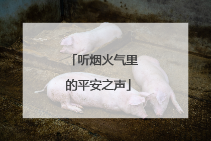 听烟火气里的平安之声