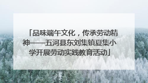 品味端午文化，传承劳动精神——五河县东刘集镇夏集小学开展劳动实践教育活动