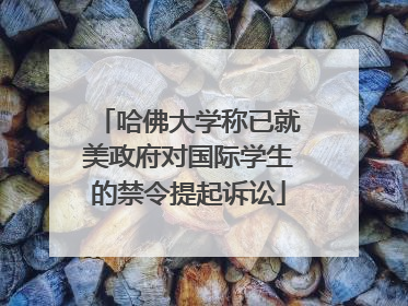 哈佛大学称已就美政府对国际学生的禁令提起诉讼