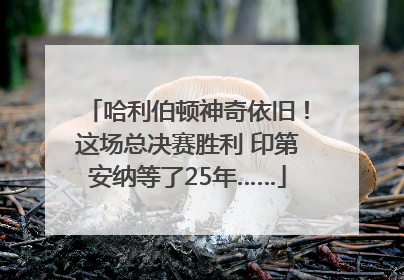 哈利伯顿神奇依旧！这场总决赛胜利 印第安纳等了25年……