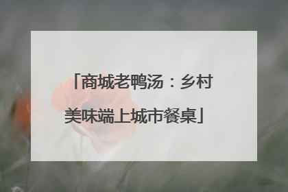 商城老鸭汤：乡村美味端上城市餐桌