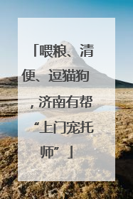 喂粮、清便、逗猫狗，济南有帮“上门宠托师”