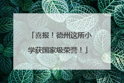 喜报！德州这所小学获国家级荣誉！