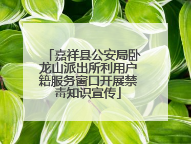 嘉祥县公安局卧龙山派出所利用户籍服务窗口开展禁毒知识宣传
