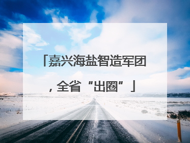 嘉兴海盐智造军团，全省“出圈”