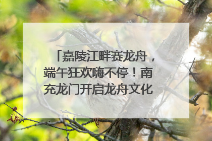 嘉陵江畔赛龙舟，端午狂欢嗨不停！南充龙门开启龙舟文化盛宴｜镜观四川