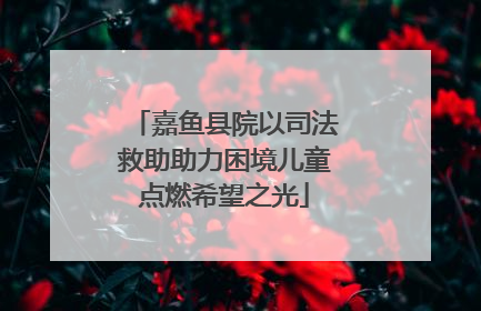 嘉鱼县院以司法救助助力困境儿童点燃希望之光