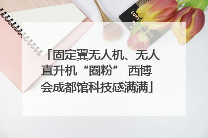 固定翼无人机、无人直升机“圈粉” 西博会成都馆科技感满满