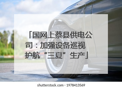 国网上蔡县供电公司：加强设备巡视 护航“三夏”生产