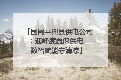 国网平舆县供电公司：迎峰度夏保供电  数智赋能守清凉