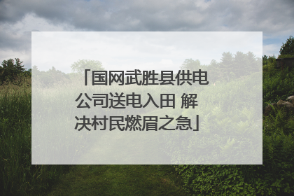 国网武胜县供电公司送电入田 解决村民燃眉之急