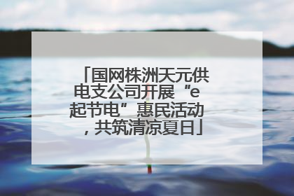 国网株洲天元供电支公司开展“e起节电”惠民活动，共筑清凉夏日