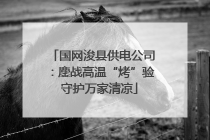 国网浚县供电公司：鏖战高温“烤”验 守护万家清凉