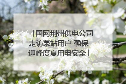 国网荆州供电公司走访泵站用户 确保迎峰度夏用电安全