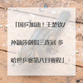 国乒加油！王楚钦/孙颖莎剑指三连冠 多哈世乒赛第八日赛程
