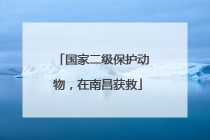 国家二级保护动物，在南昌获救