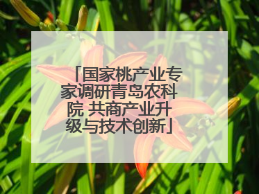国家桃产业专家调研青岛农科院 共商产业升级与技术创新