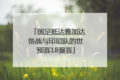 国足抵达雅加达备战与印尼队的世预赛18强赛