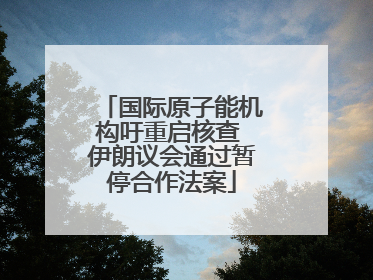国际原子能机构吁重启核查 伊朗议会通过暂停合作法案