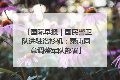 国际早报｜国民警卫队进驻洛杉矶；泰柬同意调整军队部署
