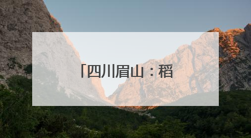 四川眉山：稻田边响起法槌声 巡回法庭现场化解耕地纠纷