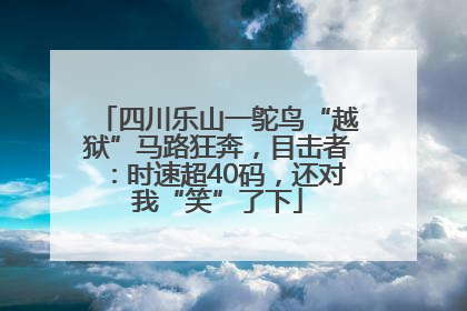 四川乐山一鸵鸟“越狱”马路狂奔，目击者：时速超40码，还对我“笑”了下