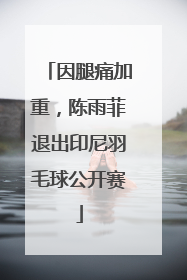 因腿痛加重，陈雨菲退出印尼羽毛球公开赛