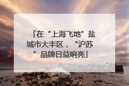 在“上海飞地”盐城市大丰区，“沪苏”品牌日益响亮