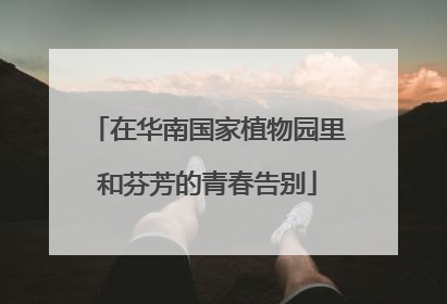 在华南国家植物园里和芬芳的青春告别
