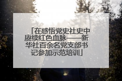 在感悟党史社史中赓续红色血脉——新华社百余名党支部书记参加示范培训