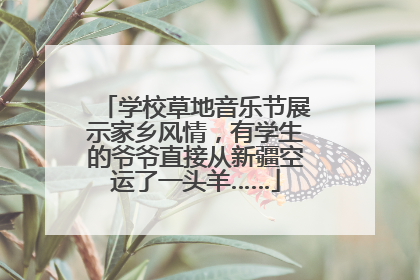 学校草地音乐节展示家乡风情，有学生的爷爷直接从新疆空运了一头羊……